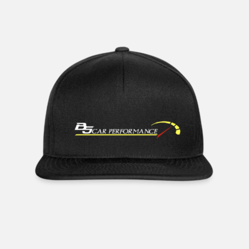 BS Cap- Merch